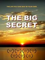 Watch The Big Secret Nowvideo