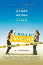 Watch Sunshine Cleaning Nowvideo