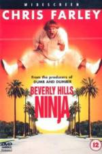 Watch Beverly Hills Ninja Nowvideo
