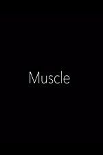 Watch Muscle Nowvideo