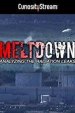 Watch Meltdown: Analyzing the Radiation Leaks Nowvideo