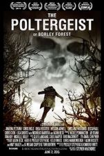Watch The Poltergeist of Borley Forest Nowvideo