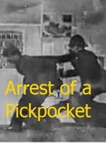 Watch The Arrest of a Pickpocket Nowvideo