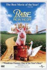 Watch Babe: Pig in the City Nowvideo
