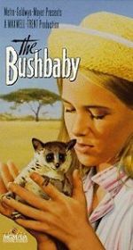 Watch The Bushbaby Nowvideo