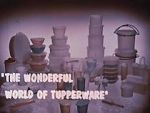 Watch The Wonderful World of Tupperware (Short 1965) Nowvideo