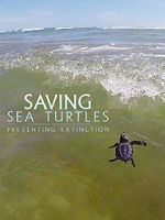 Watch Saving Sea Turtles: Preventing Extinction Nowvideo