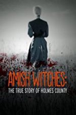 Watch Amish Witches: The True Story of Holmes County Nowvideo