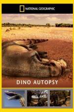 Watch National Geographic Dino Autopsy ( 2010 ) Nowvideo