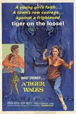 Watch A Tiger Walks Nowvideo