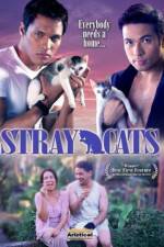 Watch Stray Cats Nowvideo
