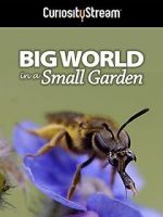 Watch Big World in a Small Garden (TV Short 2016) Nowvideo