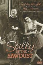 Watch Sally of the Sawdust Nowvideo