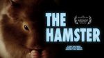 Watch The Hamster Nowvideo