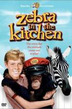 Watch Zebra in the Kitchen Nowvideo