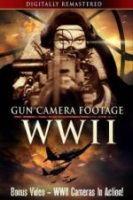 Watch Gun Camera Footage WWII Nowvideo
