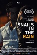 Watch Snails in the Rain Nowvideo