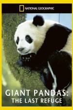 Watch National Geographic Giant Pandas The Last Refuge Nowvideo