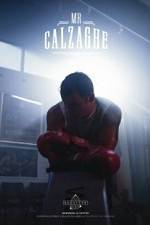 Watch Mr Calzaghe Nowvideo