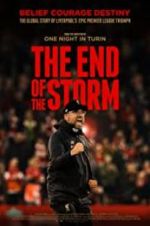 Watch The End of the Storm Nowvideo