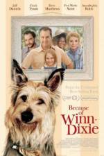 Watch Because of Winn-Dixie Nowvideo