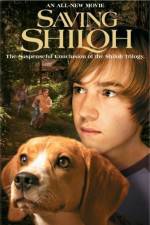 Watch Saving Shiloh Nowvideo