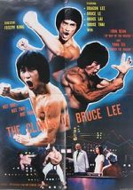 Watch The Clones of Bruce Lee Nowvideo