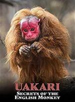 Watch Uakari: Secrets of the English Monkey Nowvideo
