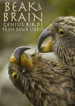 Watch Beak & Brain - Genius Birds from Down Under Nowvideo