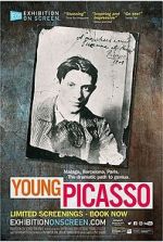 Watch Exhibition on Screen: Young Picasso Nowvideo