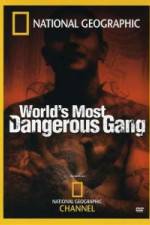 Watch National Geographic World's Most Dangerous Gang Nowvideo