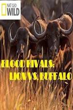 Watch National Geographic - Blood Rivals: Lion vs. Buffalo Nowvideo