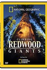 Watch National Geographic Explorer: Climbing Redwood Giants Nowvideo