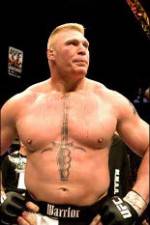 Watch Brock Lesnar 7 Fights Nowvideo