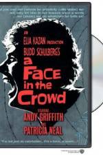 Watch A Face in the Crowd Nowvideo