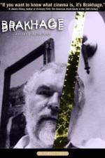 Watch Brakhage Nowvideo