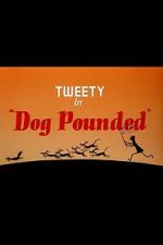 Watch Dog Pounded (Short 1954) Nowvideo