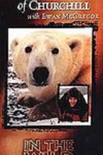 Watch The Polar Bears of Churchill with Ewan McGregor Nowvideo