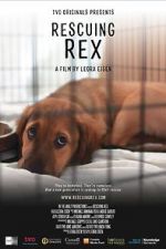 Watch Rescuing Rex Nowvideo