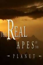 Watch The Real Apes of the Planet Nowvideo