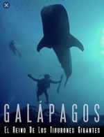 Watch Galapagos: Realm of Giant Sharks Nowvideo