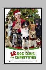 Watch 12 Dog Days of Christmas Nowvideo