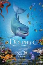 Watch The Dolphin Story of a Dreamer Nowvideo