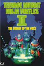 Watch Teenage Mutant Ninja Turtles II: The Secret of the Ooze Nowvideo