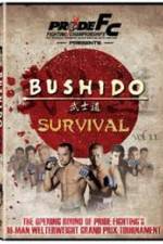 Watch Pride Bushido 11 Nowvideo