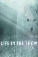 Watch Life in the Snow Nowvideo