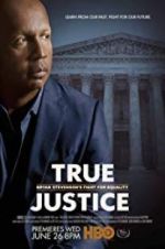 Watch True Justice: Bryan Stevenson\'s Fight for Equality Nowvideo