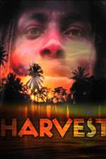 Watch Harvest Nowvideo