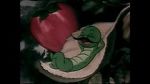 Watch The Wacky Worm (Short 1941) Nowvideo