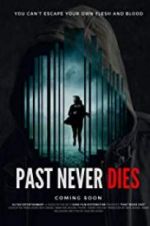 Watch The Past Never Dies Nowvideo